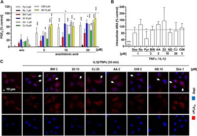 Inhibitors of Human 5-Lipoxygenase Potently Interfere With Prostaglandin Transport